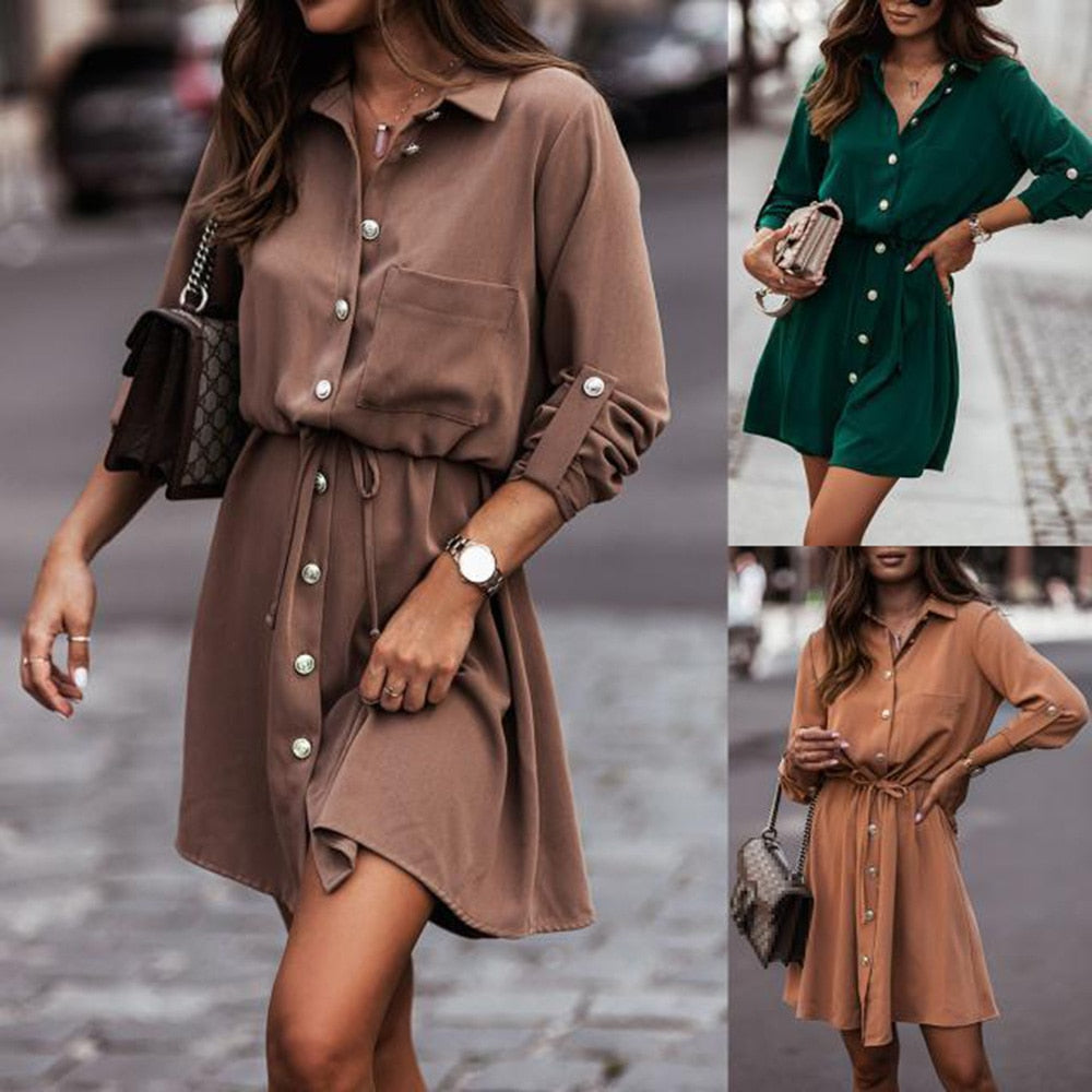 Casual Long Sleeve Women's Dress