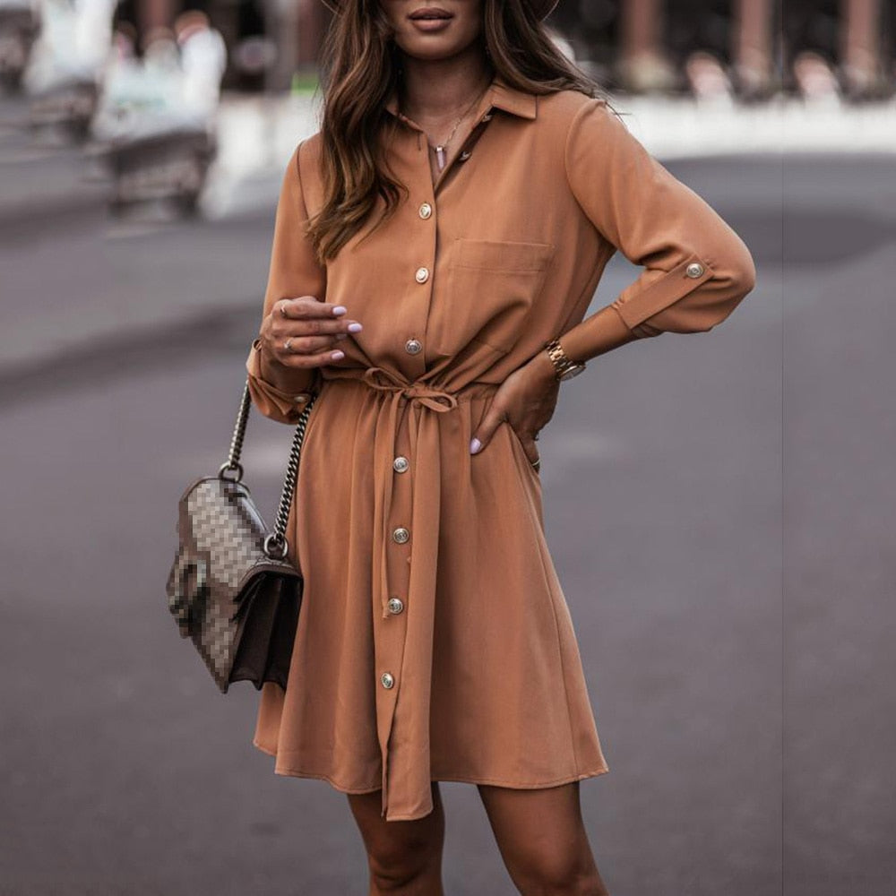 Casual Long Sleeve Women's Dress