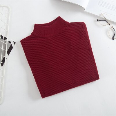 Long Sleeve Turtleneck