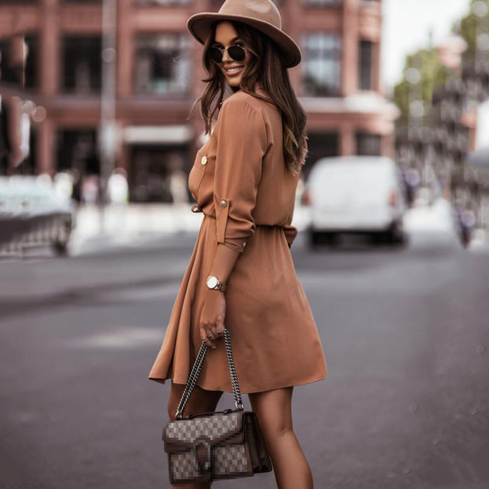 Casual Long Sleeve Women's Dress